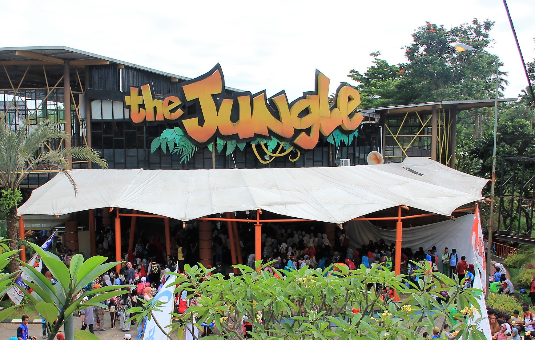 Jungleland